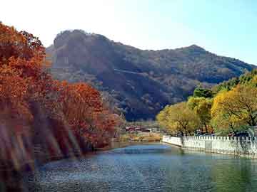 澳门天天免费精准大全，岳普湖seo建站